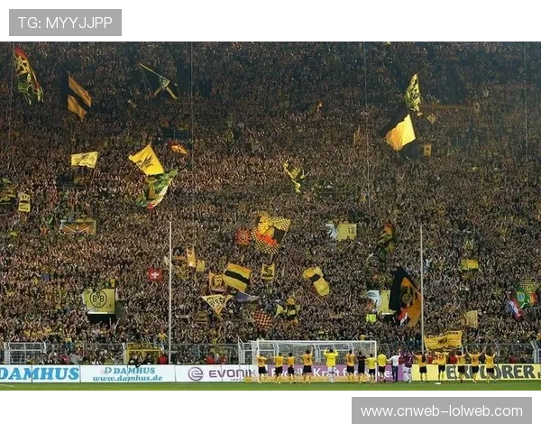 多特蒙德信号伊杜纳公园扩建,站席容量增加 多特蒙德信号伊杜纳公园扩建,站席容量增加